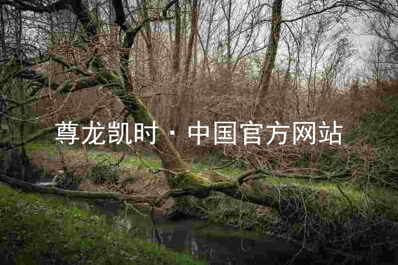尊龙凯时·中国官方网站