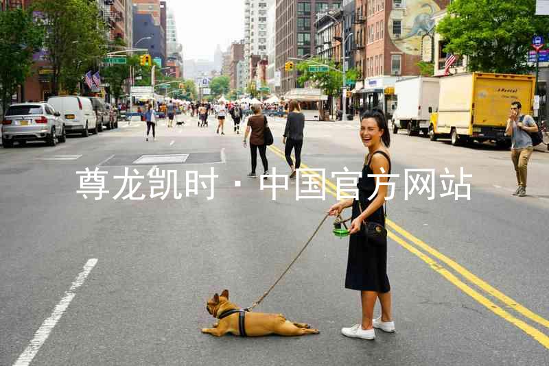 尊龙凯时·中国官方网站