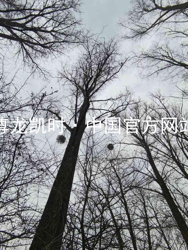 尊龙凯时·中国官方网站